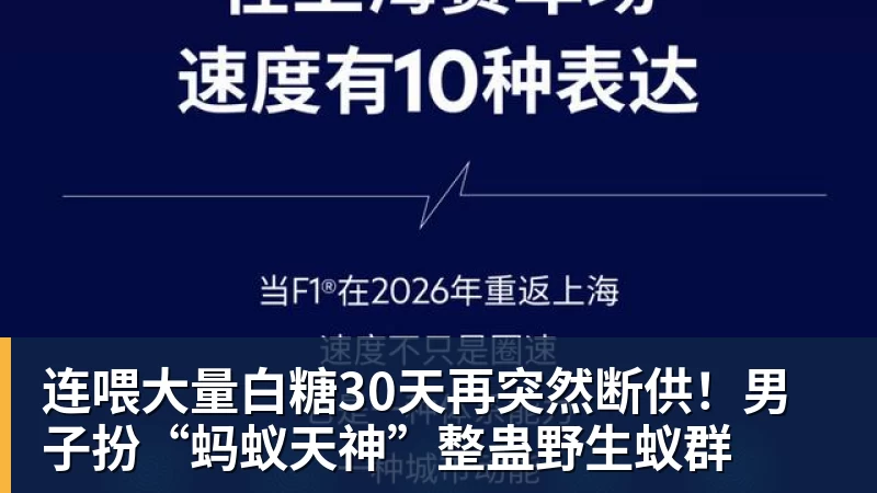 连喂大量白糖30天再突然断供！男子扮“蚂蚁天神”整蛊野生蚁群